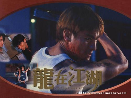 蒂尔堡大学毕业证哪里能办